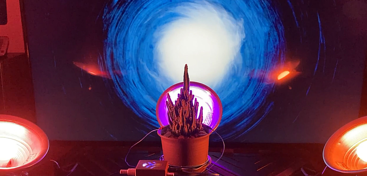 A small potted cactus sits in front of a screen displaying a swirling blue and white vortex, with red lights illuminating the scene from both sides.