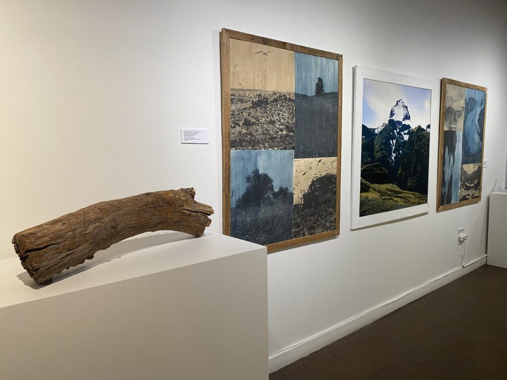 A gallery display features a wooden log on a white pedestal and three framed landscape artworks mounted on a white wall, including scenes of mountains and split images of nature.