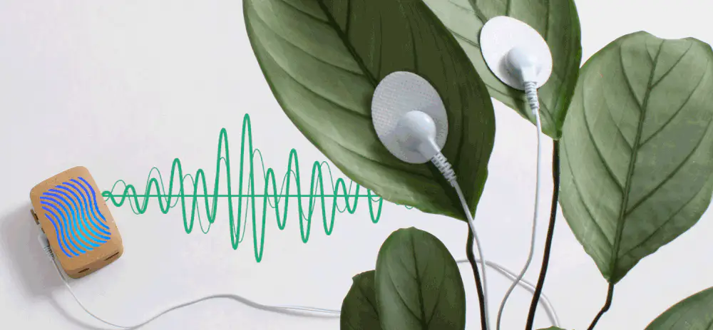 A device with a blue wavy pattern is connected by a cable to round electrodes attached to green plant leaves, with a green waveform illustration showing data transmission or monitoring.
