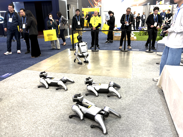 A group of people watch four small robotic dogs on display at an indoor event or expo. Some attendees are holding bright yellow bags and taking photos or videos of the robots.