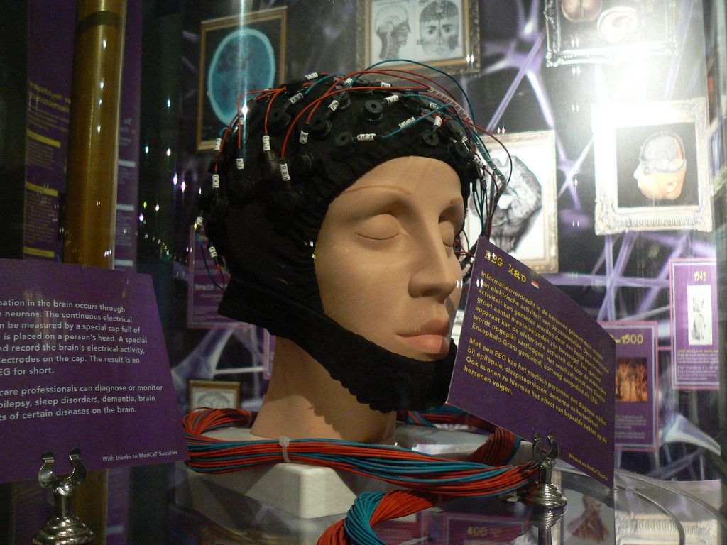 A mannequin head wears an EEG cap with many wires attached, displayed in a museum exhibit about brain research, with informative signs and brain images in the background.