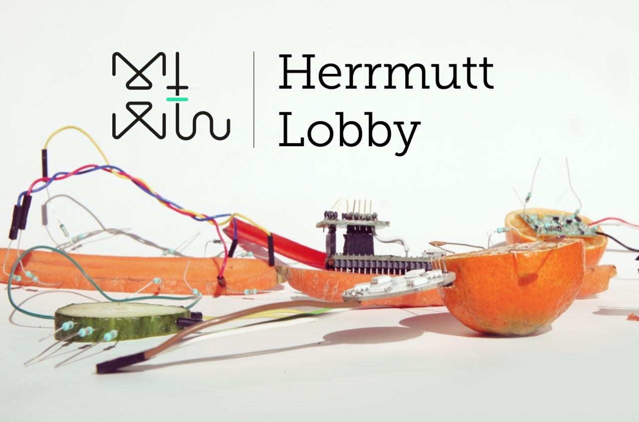 Electronic circuits and wires are attached to slices of orange and cucumber, with Herrmutt Lobby and an abstract logo displayed in the background.